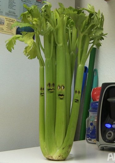 Celery the Stalker