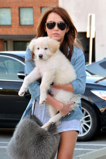 Miley+Cyrus+holds+fluffy+white+puppy+while+UI3_Hh86P3dl