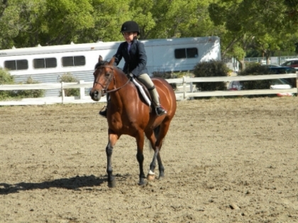 Horse Show29