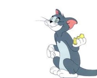 Tom si Jerry