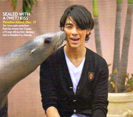 joejonaskissedbyseal