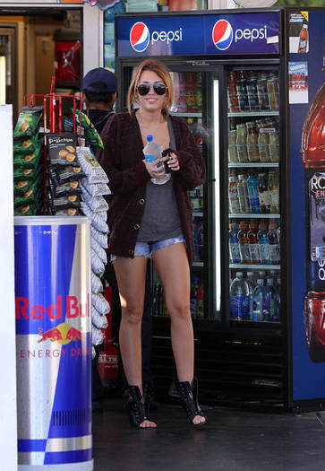 Miley-Cyrus_COM_TolucaLake_14Sept2010_05 - Miles 2010