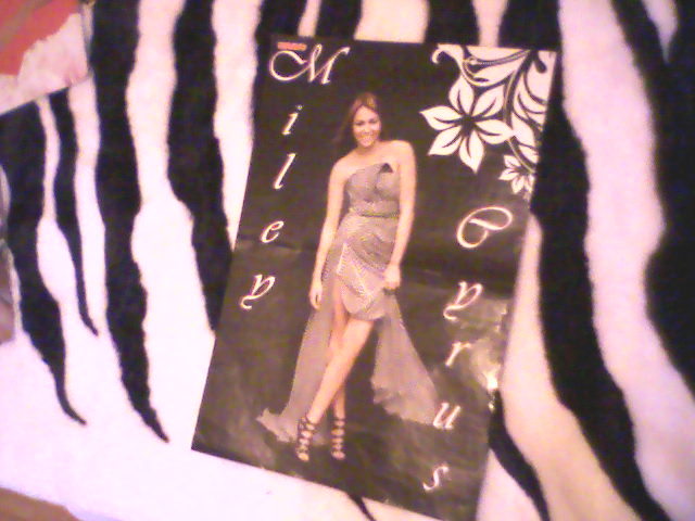 my poster wit mils (3)