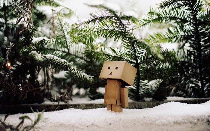 Danbo