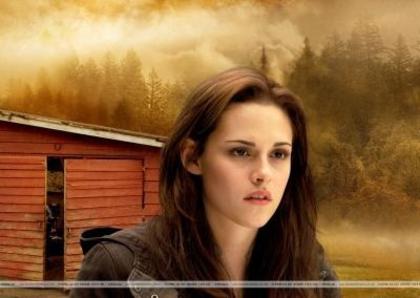 The_Twilight_Saga_New_Moon_1249135292_0_2009