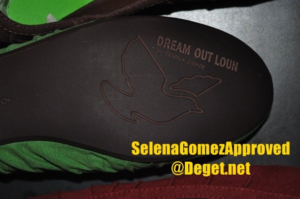Dream Out Loud (5)