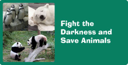 saveAnimals - IS VERY IMPORTANT
