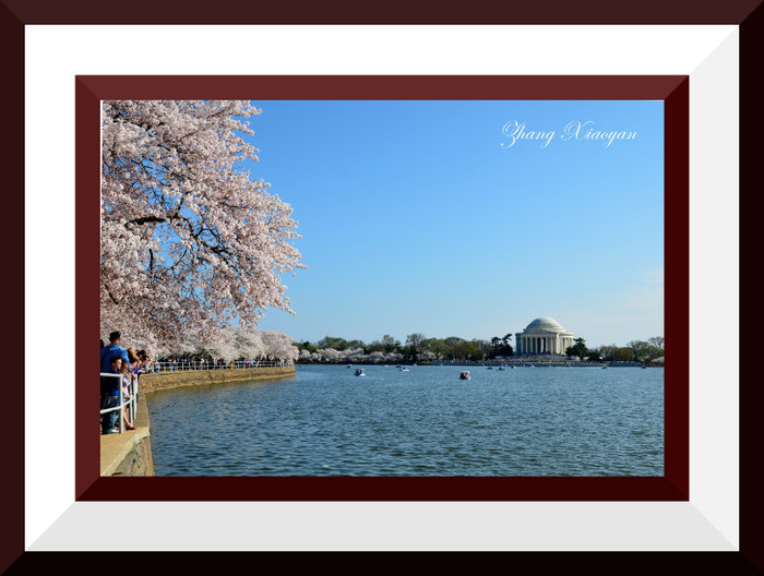 DSC_7552 - I Love Washington DC
