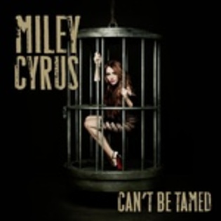 Can\'t Be Tamed 9