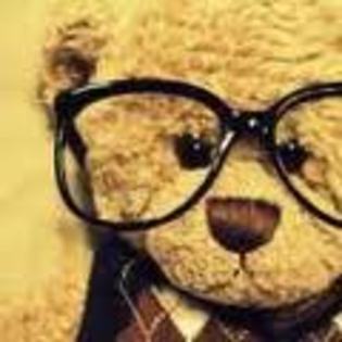 Teddy Bear ;x