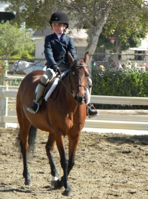 Horse Show24