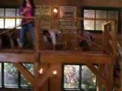 22309152_jpeg_preview_medium - camp rock 2 can t back down