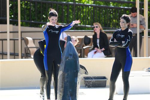 2012 5 15 2012 Dolphin Trainer For A Day 87