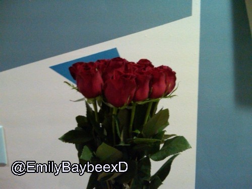 Proof_29=>`roses baby <3`