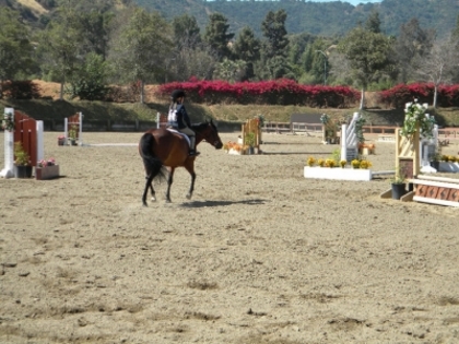 Horse Show96