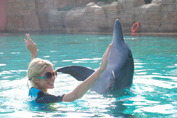 Dancing with a Dolphin