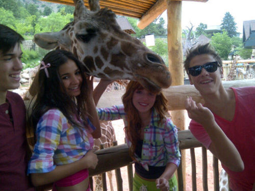 The Giraffe - I am Real Pia Mia