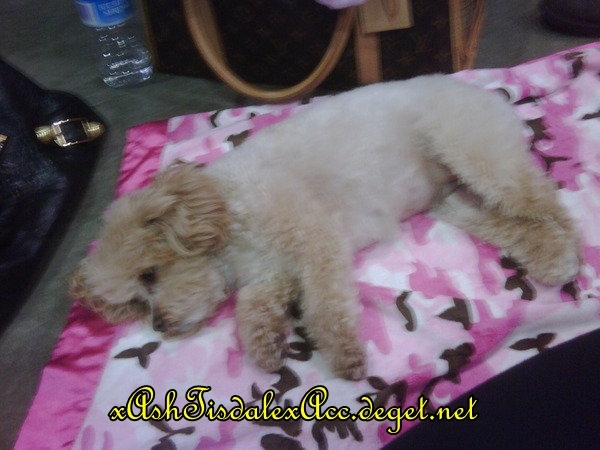 Maui at rehearsal..... I think she`s over it lol!