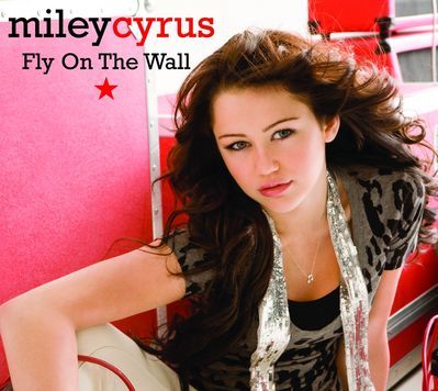 Fly on the Wall Single