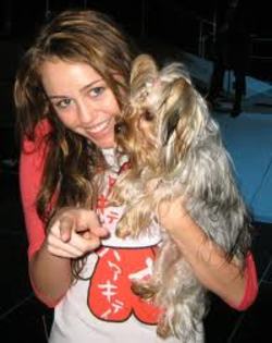 miley rare 168 - Photos 007