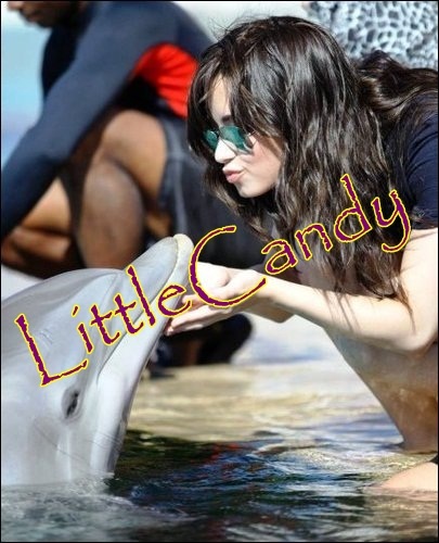 Demi with a dolphin