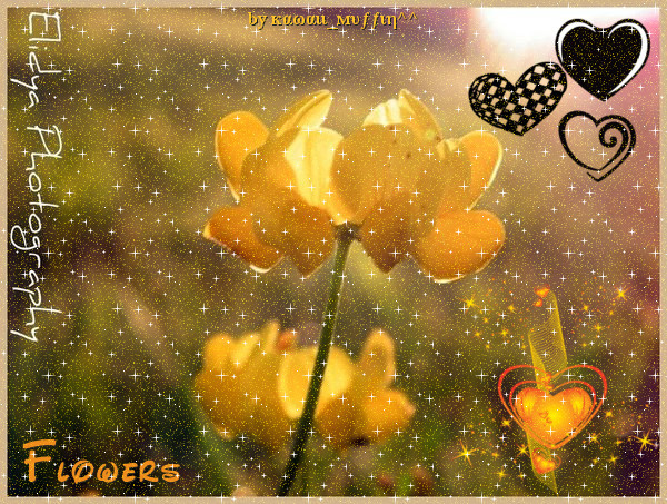 *_* FloWersSs *_*