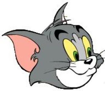 Tom si Jerry - Tom si Jerry