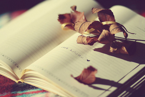 autmn,i,love,autumn,journal,leaves-c2db99c8e344111fe84dbfd1ef0f4501_h - Who wants to be friends