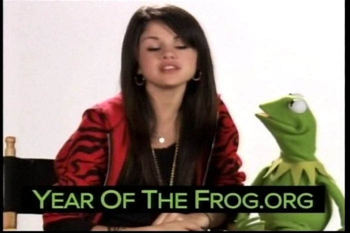 Year of the Frog Promo (9)