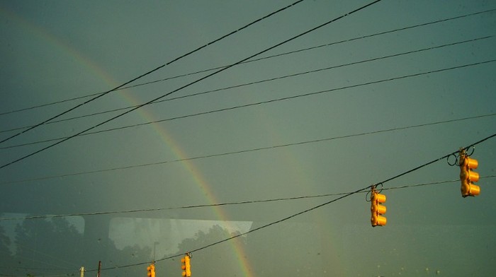 View from the Greyhound bus on our way from North Carolina to South Carolina.