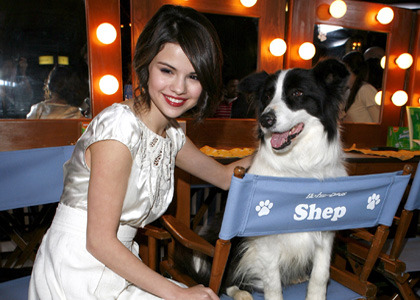 selena-gomez-dogs-la