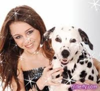 images (8) - miley cyrus