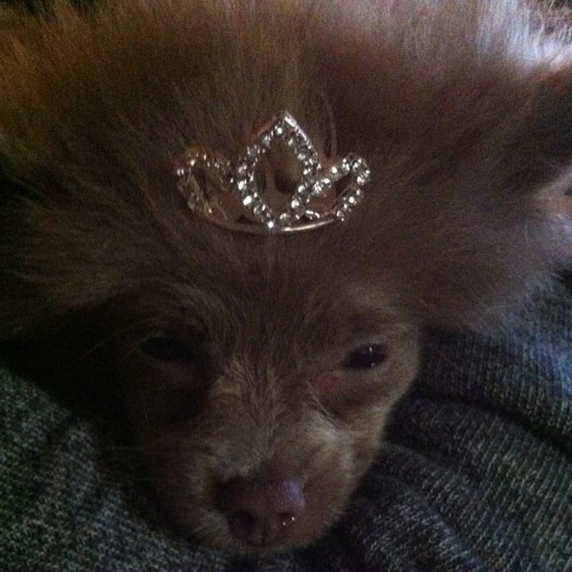 my lil princess.lol - 0-Neww