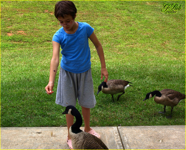 ducks feed girl-12 - A day at the lake