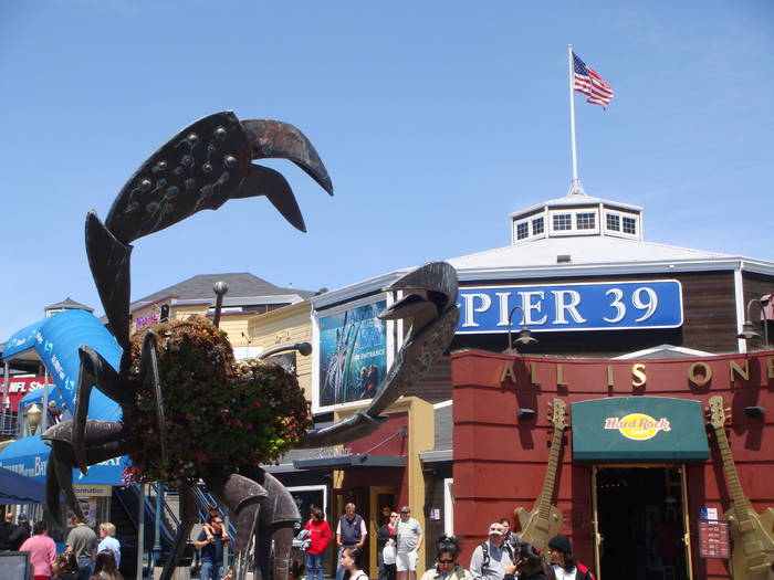 Pier 39 once again