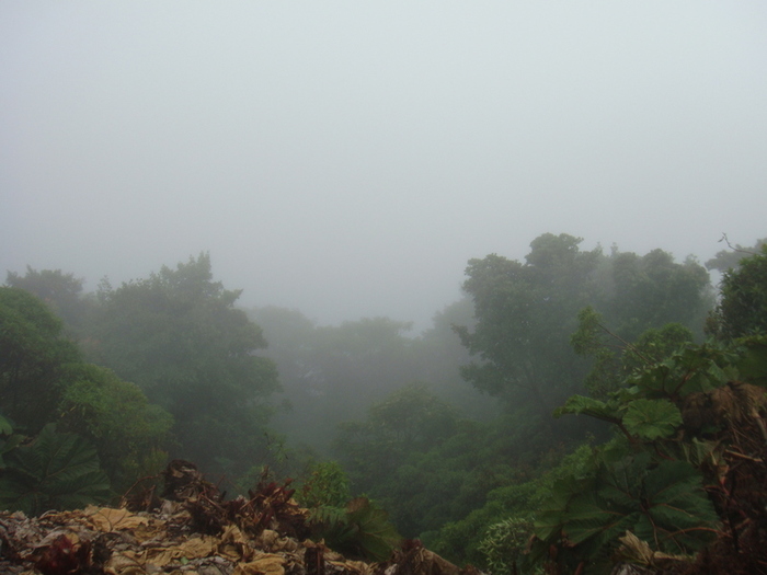 Foggy at active Poas Volcano; It was foggy at active Poas Volcano
