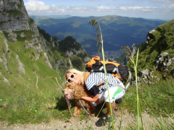 My dog - In mountain