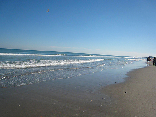 IMG_0091 - COCOA BEACH