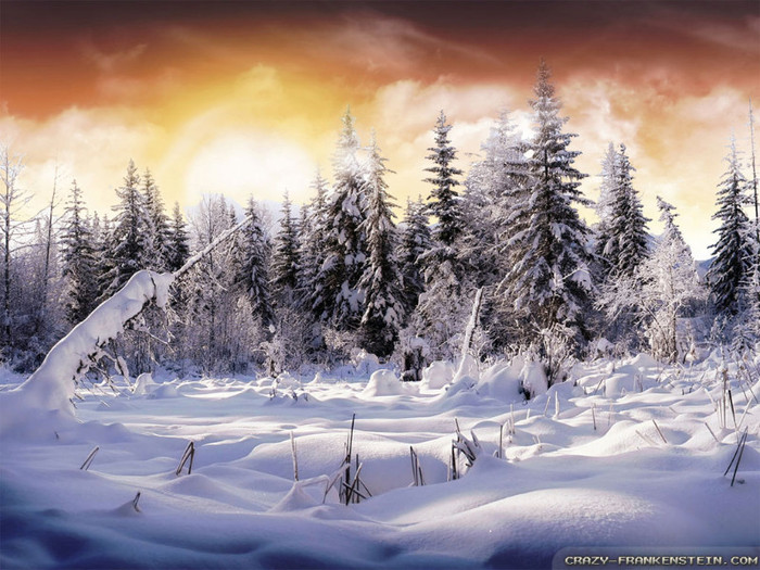 beautiful-winter-landscape-wallpapers-1024x768 - Most Beautiful Landscapes