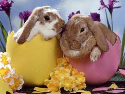 Paste Fericit - xX_Happy Easter