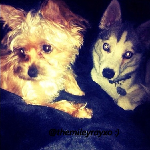 Lila and Floyd :) #RadiateLove - x - Some pictures xo