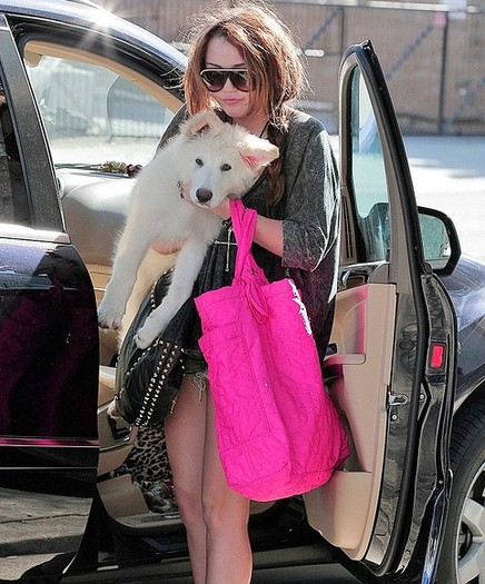 Miley and mate 3