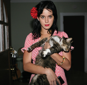 IMG012 - 0 For KatyHudsonPerry 0