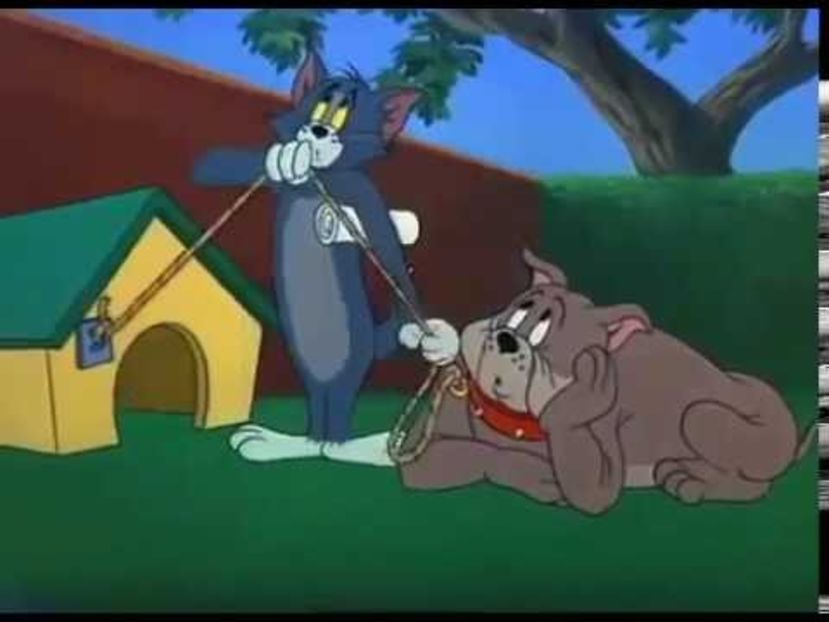 Tom si Jerry