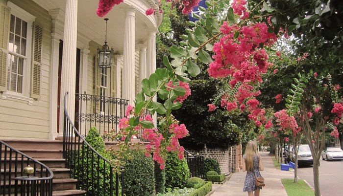 Charleston, South Carolina (2) - Charleston - SC