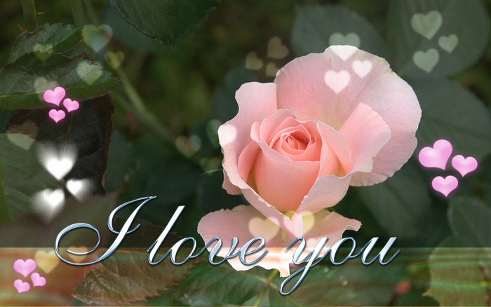 i-love-you-wallpaper-26