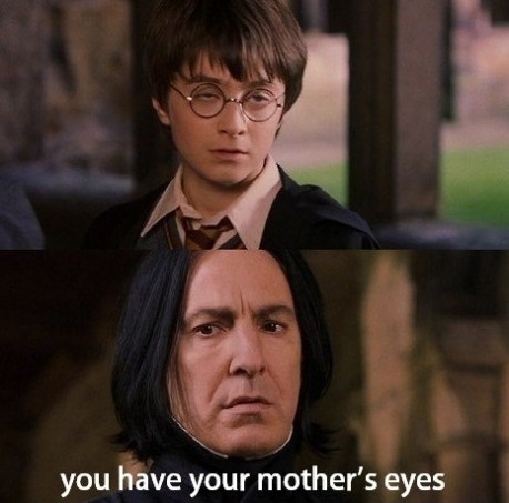  - Funny - Harry Potter