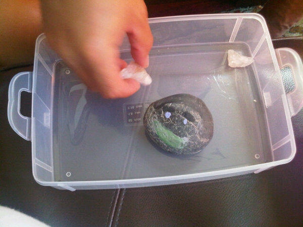 @maddielovesyou1 gave my dad the best present ever...... A pet rock!!!! Hahaha aw.... Madison....