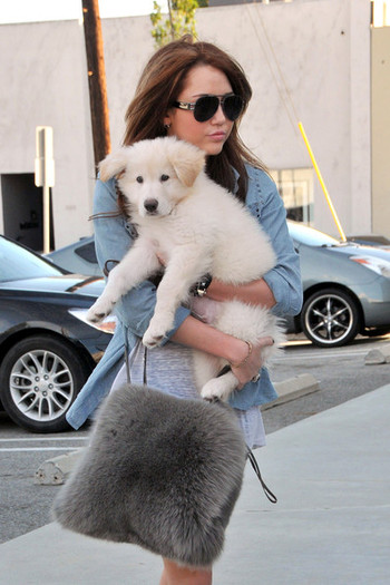 Miley+Cyrus+holds+fluffy+white+puppy+while+SE1TQxVyJTnl - Album for Miley real