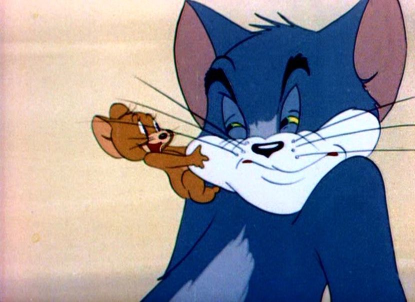 Tom si Jerry